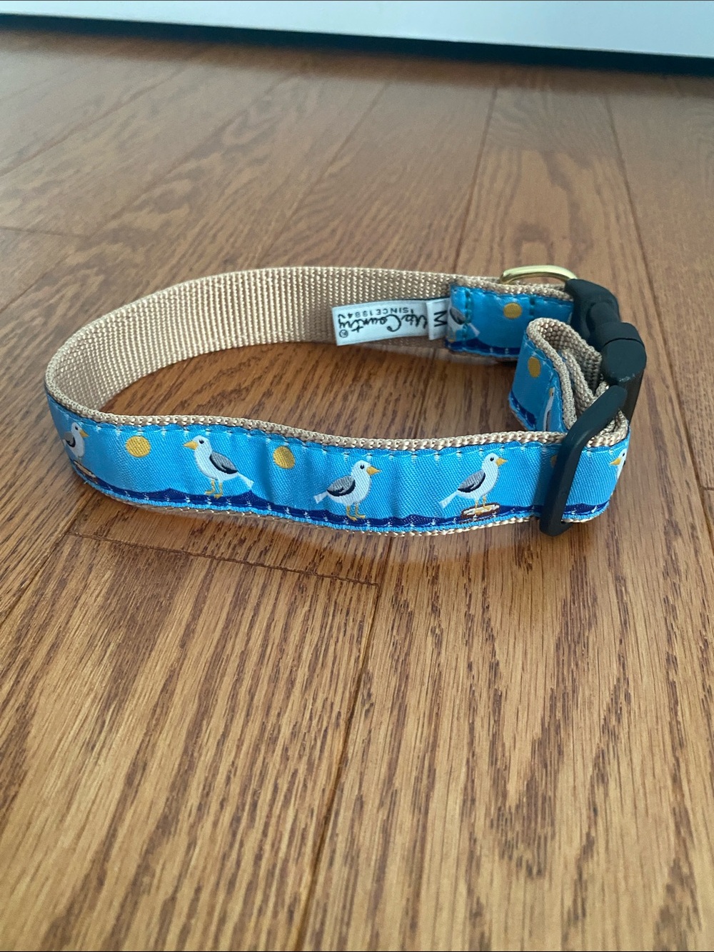 Seagull Print Adjustable Blue Dog Collar with Neutral Webbing